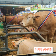 Salon de l'agriculture 2023