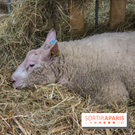 Salon de l'agriculture 2023