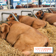 Salon de l'agriculture 2023