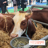 Salon de l'agriculture 2023