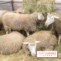 Salon de l'agriculture 2023
