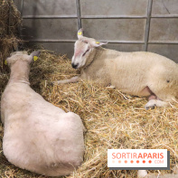 Salon de l'agriculture 2023