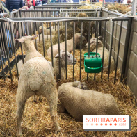 Salon de l'agriculture 2023