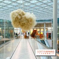 Paris à Poil(s) à la Samaritaine - image00011