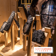 Exposition Notre-Dame de Paris : au cœur du chantier -  A7C4628