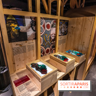 Exposition Notre-Dame de Paris : au cœur du chantier -  A7C4639