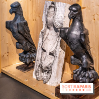 Exposition Notre-Dame de Paris : au cœur du chantier -  A7C4623