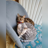 Le Moustache Pension - IMG20230103135209