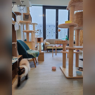 Le Moustache Pension - IMG20230206124953