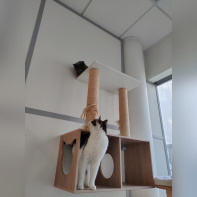 Le Moustache Pension - IMG20230302144931