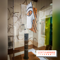 Célébration Picasso, l'exposition anniversaire colorée au musée Picasso Paris - nos photos - IMG20230306175045