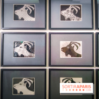 Célébration Picasso, l'exposition anniversaire colorée au musée Picasso Paris - nos photos - IMG20230306174112