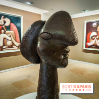 Célébration Picasso, l'exposition anniversaire colorée au musée Picasso Paris - nos photos - IMG20230306173153