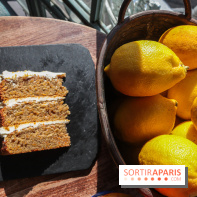 Treize au jardin - 20230302144833 IMG 4056