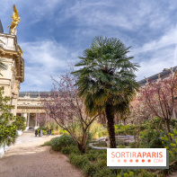 Petit Palais - Collection permanente  -  jardin