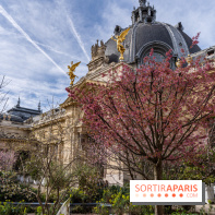 Petit Palais - Collection permanente  -  jardin