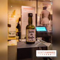 Exposition Les soldats du désert : le musée de la Libération dévoile l'épopée du général Leclerc
