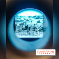 Exposition Les soldats du désert : le musée de la Libération dévoile l'épopée du général Leclerc - IMG20230315100504