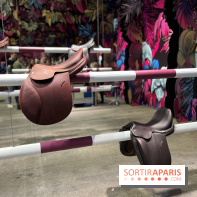 Saut Hermès - IMG 0886