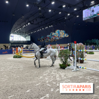 cheval - Saut Hermès - IMG 1015