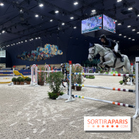 cheval - Saut Hermès - IMG 1018