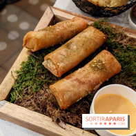 Qasti - Rouleaux halloumi