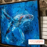 Exposition street-art Sax - Eglise de la Madeleine  -  A7C6524