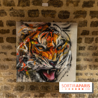 Exposition street-art Sax - Eglise de la Madeleine  -  A7C6519