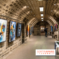 Exposition street-art Sax - Eglise de la Madeleine  -  A7C6513