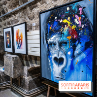 Exposition street-art Sax - Eglise de la Madeleine  -  A7C6470 HDR