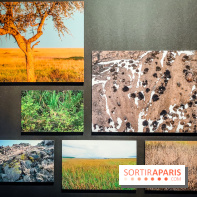 Félins, l'exposition qui nous fait craquer au Muséum national d'Histoire naturelle - photos - IMG20230321100948