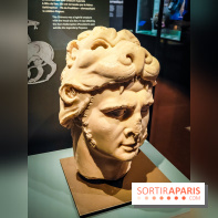 Félins, l'exposition qui nous fait craquer au Muséum national d'Histoire naturelle - photos - IMG20230321103728