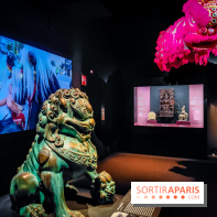 Félins, l'exposition qui nous fait craquer au Muséum national d'Histoire naturelle - photos - IMG20230321103938