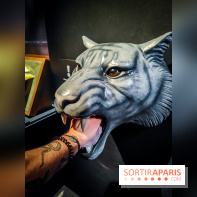 Félins, l'exposition qui nous fait craquer au Muséum national d'Histoire naturelle - photos - IMG20230321101734