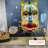 Félins, l'exposition qui nous fait craquer au Muséum national d'Histoire naturelle - photos - IMG20230321104440