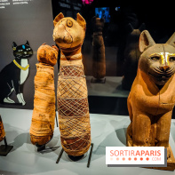 Félins, l'exposition qui nous fait craquer au Muséum national d'Histoire naturelle - photos - IMG20230321104649