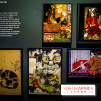 Félins, l'exposition qui nous fait craquer au Muséum national d'Histoire naturelle - photos - IMG20230321104833