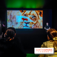 Félins, l'exposition qui nous fait craquer au Muséum national d'Histoire naturelle - photos - IMG20230321100446