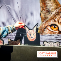 Félins, l'exposition qui nous fait craquer au Muséum national d'Histoire naturelle - photos - IMG20230321100601