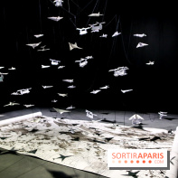 Dans l'air, les machines volantes, nos photos - IMG 8810