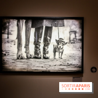 Elliott Erwitt, l'expo au Musée Maillol, nos photos - IMG 8943