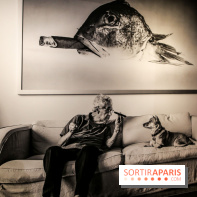 Elliott Erwitt, l'expo au Musée Maillol, nos photos - IMG 8956