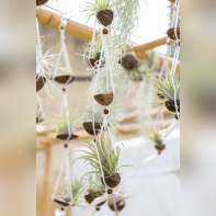 Les journées des plantes & Art  - 0S6A3398