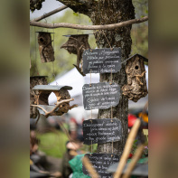 Les journées des plantes & Art  - 0S6A3584