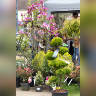 Les journées des plantes & Art  - 0S6A4145