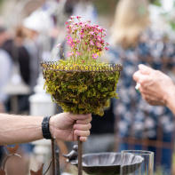 Les journées des plantes & Art  - 0S6A4183