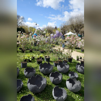 Les journées des plantes & Art  - 230401 Blandy PhotoCaroleDesheulles 192