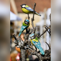 Les journées des plantes & Art du Jardin à Blandy-les-Tours - JourneePlantesBlandy 204©CDesheulles