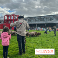 Transhumance à la Villette - CE1F1B78 657D 4D9B 8C5A FA4919382939
