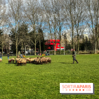 Transhumance à la Villette - 188F770F E171 4E30 91B1 9AEE8A13CE61
